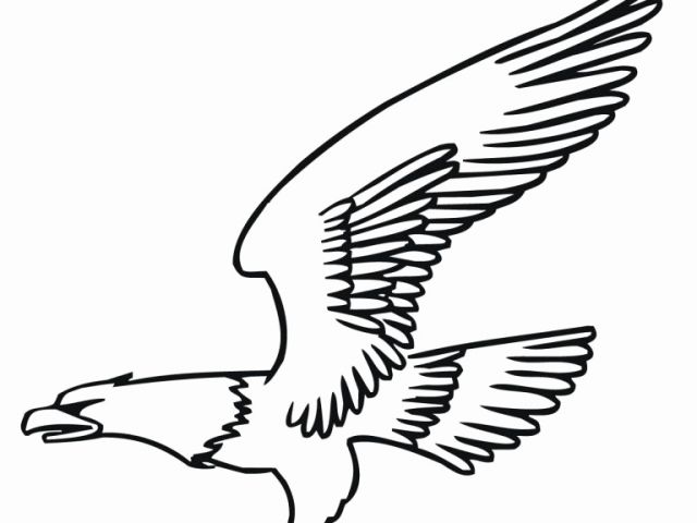 640x480 Eagle Printable Coloring Pages Best Of Free Printable Bald Eagle