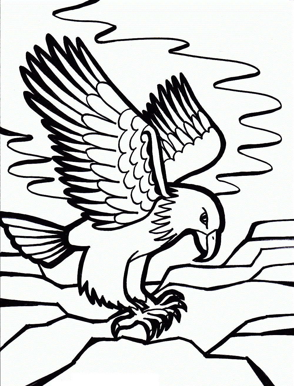 1000x1311 Free Printable Bald Eagle Coloring Pages For Kids School Bird