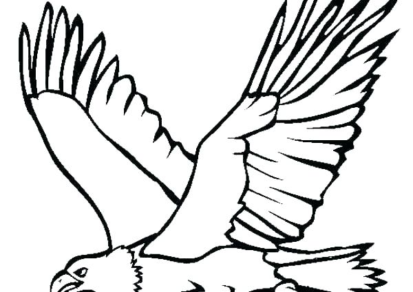 600x425 Coloring Pages For Kids Cars Online Adults Eagle Flying Color