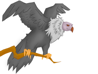 333x250 Condor Drawing Eagle Transparent Png Clipart Free Download