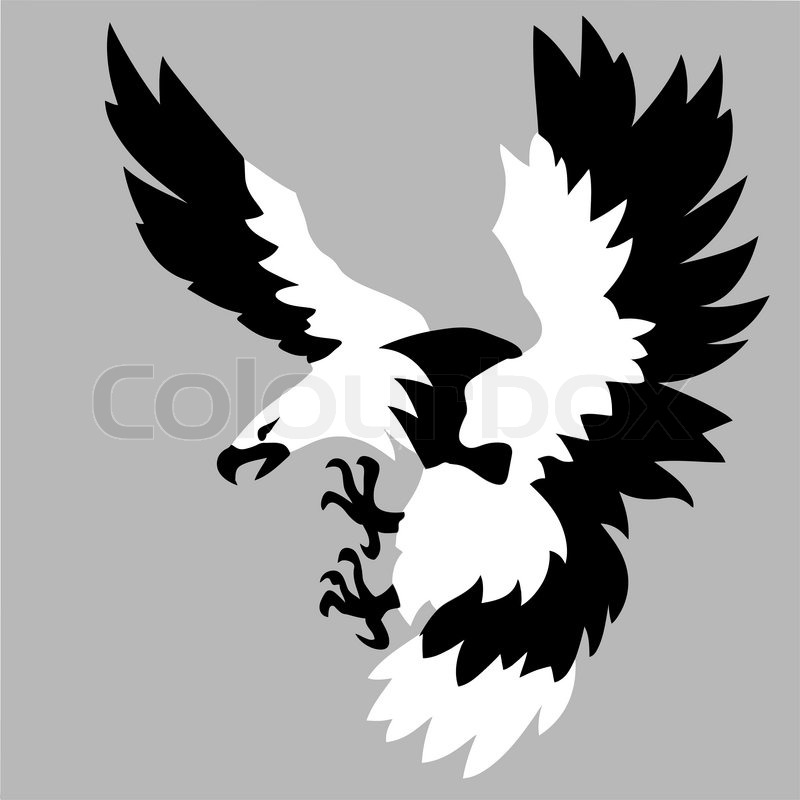 800x800 Eagle Drawing On Gray Background Stock Vector Colourbox