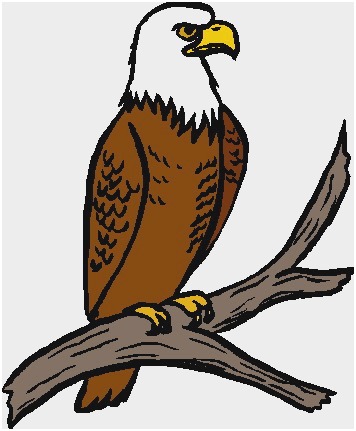 356x431 Philadelphia Eagles Clipart Great Eagle Drawing Mower Clipart