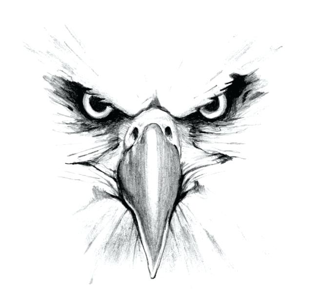 Collection of Eagle clipart | Free download best Eagle clipart on