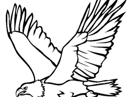440x330 bald eagle drawing coloring pages, bald eagle coloring pages
