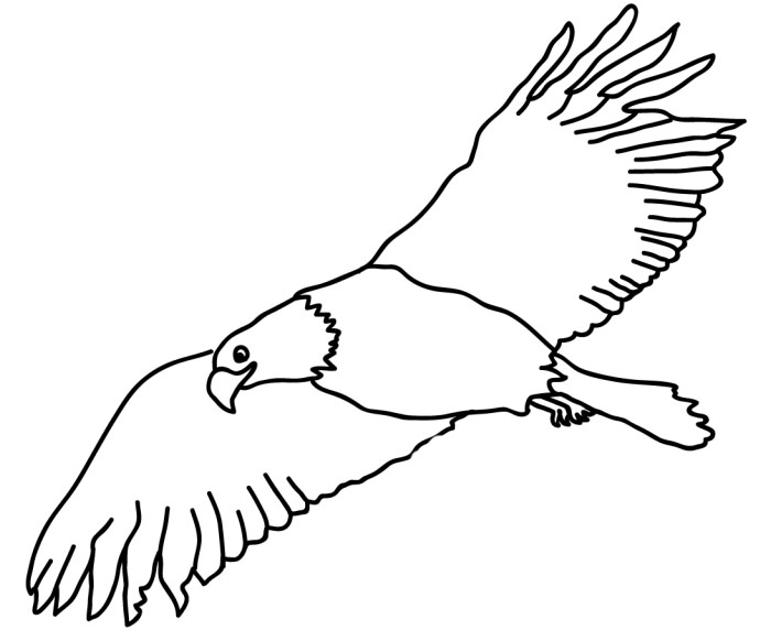 Eagle Drawing Outline
