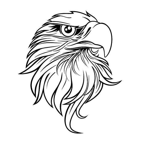 610x610 Cool Black Outline Eagle Head Tattoo Design