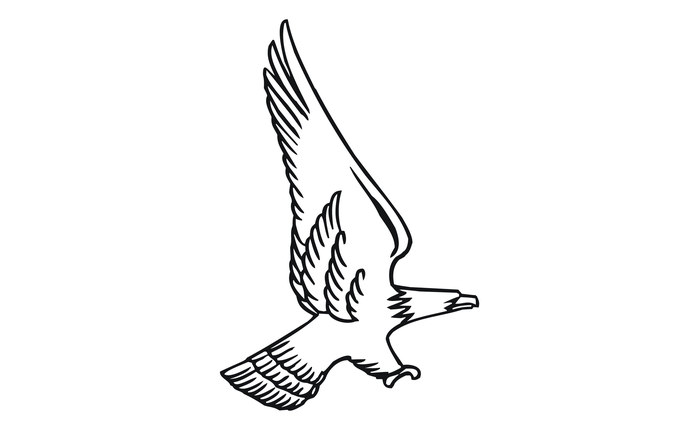 700x430 Eagle Template