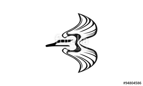 500x300 Flying Bald Eagle