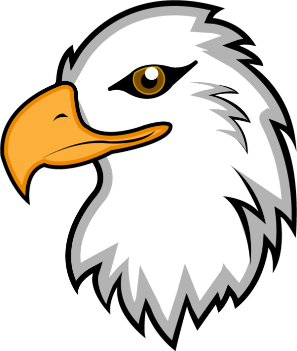 592x700 Mascot Drawing Eagle Transparent Png Clipart Free Download
