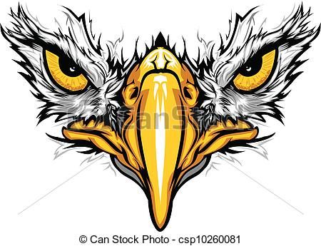 450x345 Vector Of Eagle Eyes And Beak Vector Illustration
