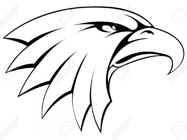 640x480 Drawn Bald Eagle Face