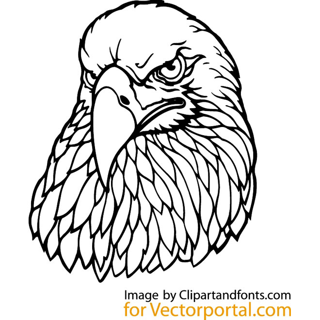 660x660 Eagle Vector Drawing
