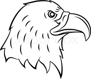 320x277 Pictures Eagle Face Outline
