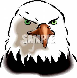 298x300 The Face Of A Bald Eagle