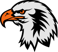 190x170 Eagle Head Face Cartoon Drawing Women's Premium Tank Top