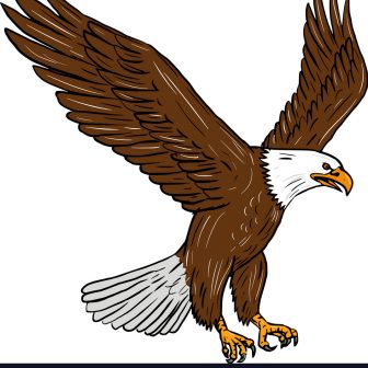 336x336 Bald Eagle Free Cute Drawing Face Videos Tutorial Cartoon Line