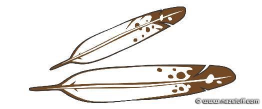 525x218 Eagle Feather Clipart