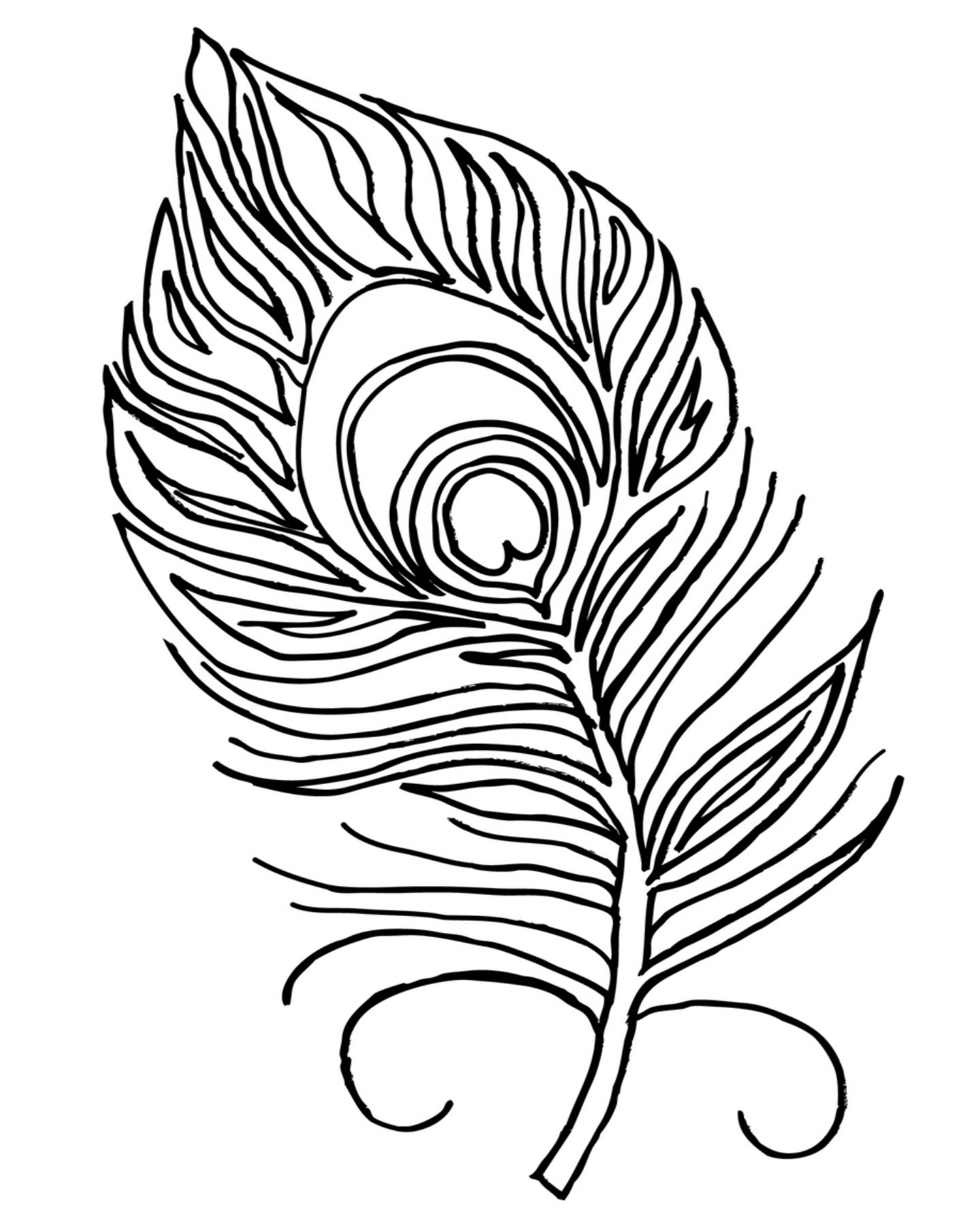 1440x1800 Feather Coloring