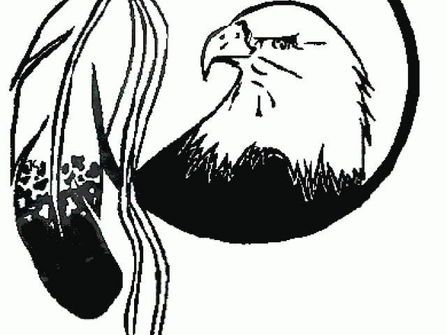 640x480 aborigines clipart eagle feather