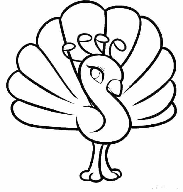 600x630 Color Pages Coloring To Print Feather Colouring