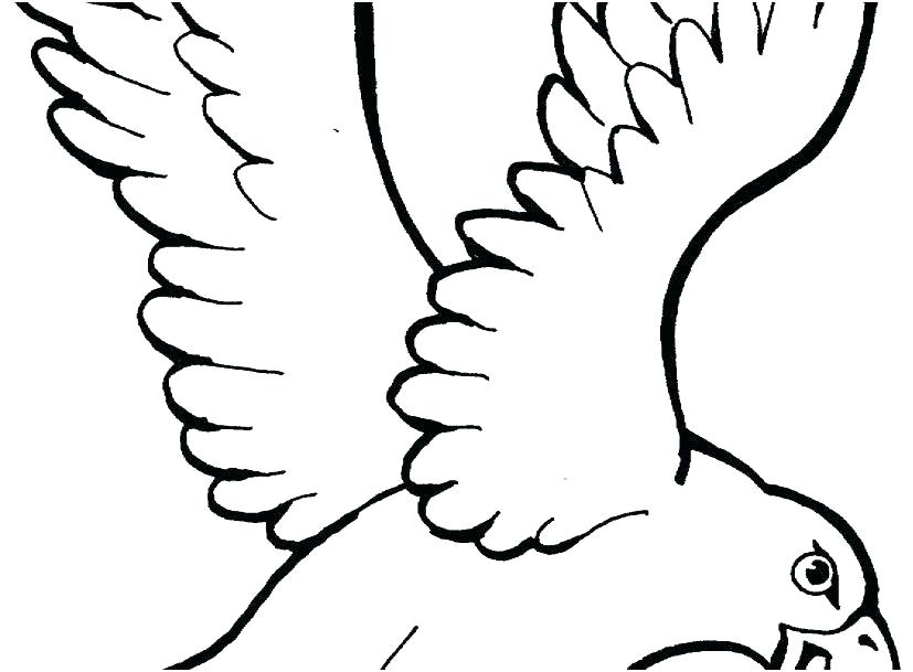 827x609 Eagle Coloring