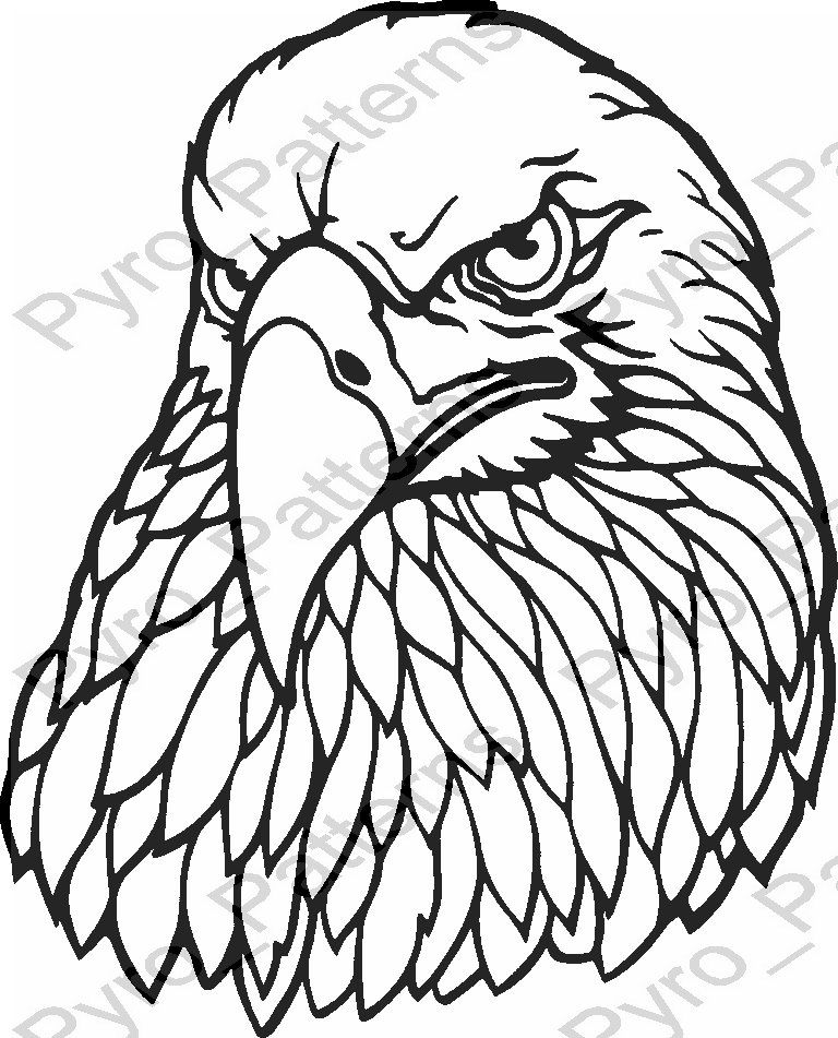 768x951 Eagle Head Bird Pyrography Wood Burning Pattern Printable Stencil