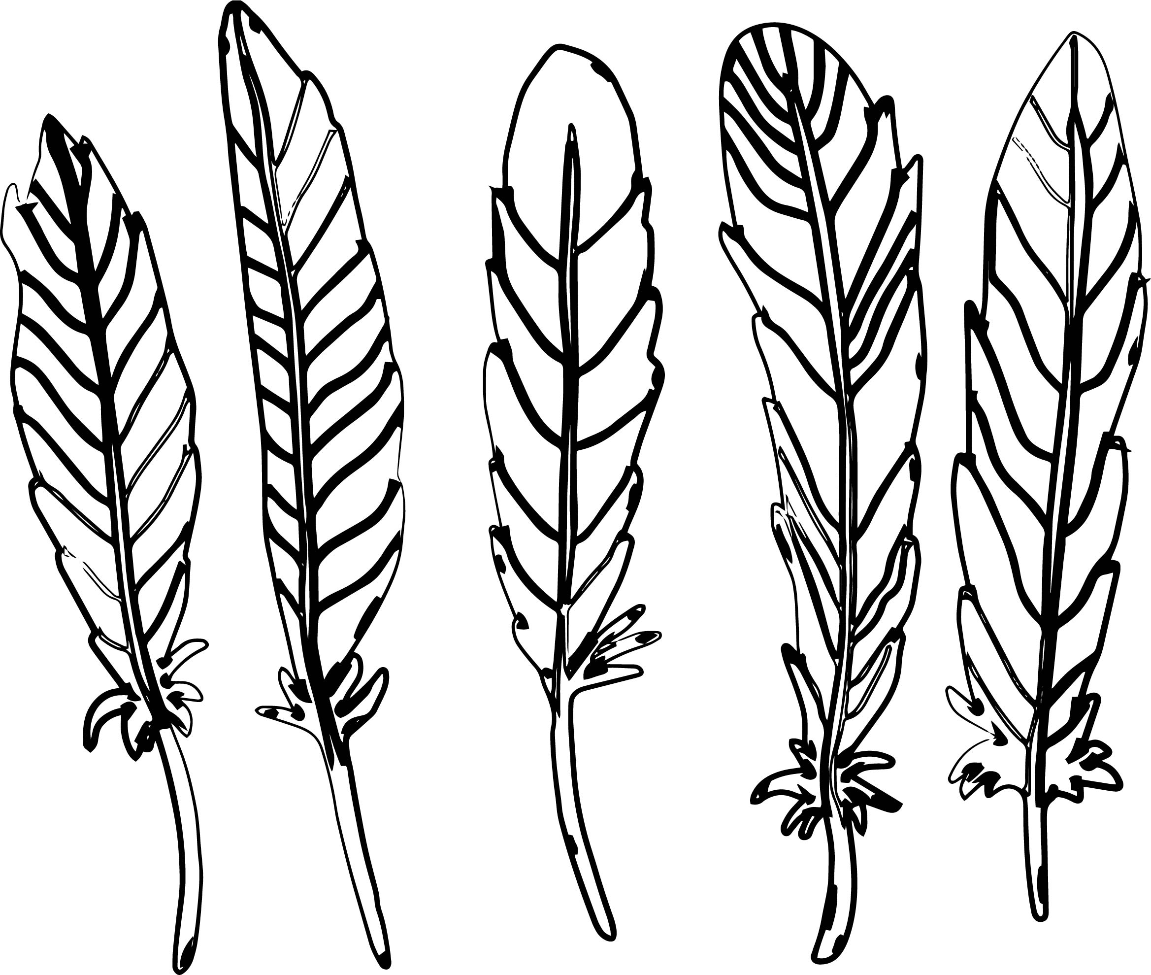 2337x1979 Feather Coloring