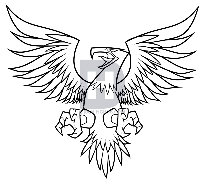 834x720 How To Draw A Flying Eagle, Step