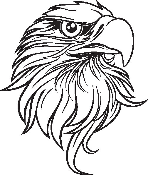 504x598 Lovely Eagle Head Clipart