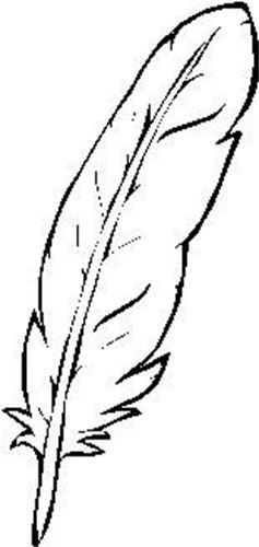 237x500 Beads Eagle Feather, Medicine Wheel