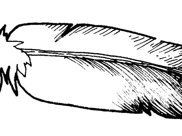 640x480 Clipart Wallpaper Blink