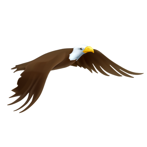 500x500 Collection Of Free Eagle Drawing Download On Ui Ex