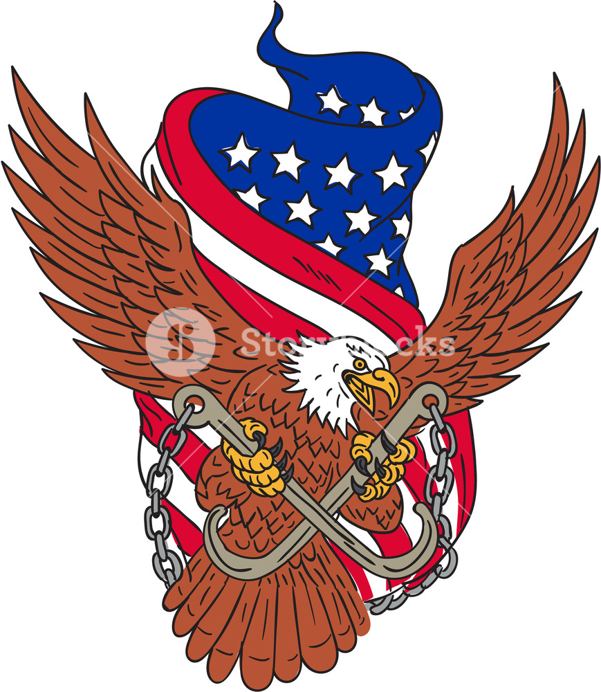 869x1000 Drawing Sketch Style Illustration Of An American Bald Eagle Wings