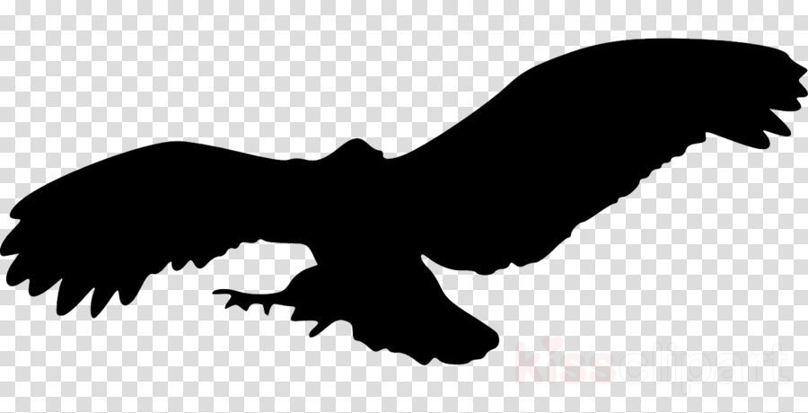 900x460 Eagle, Silhouette, Drawing, Transparent Png Image Clipart Free