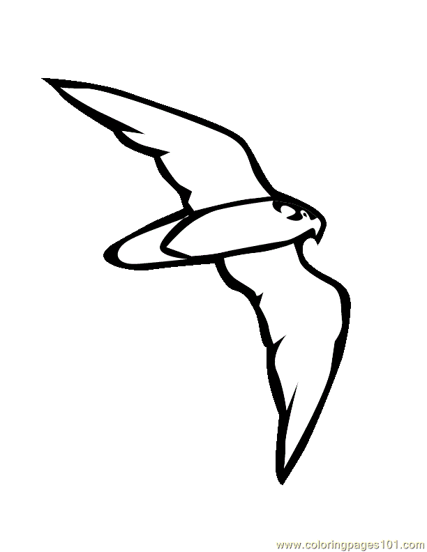 612x792 Flying Eagle Coloring Page