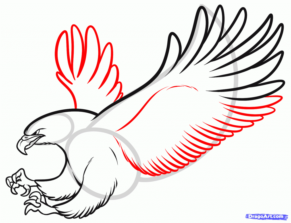 1024x785 How To Draw Eagle Flying Step