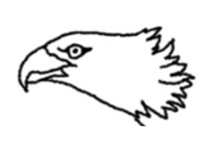 750x500 How To Draw An Eagle Flying Realistic, Head, Easy And Step