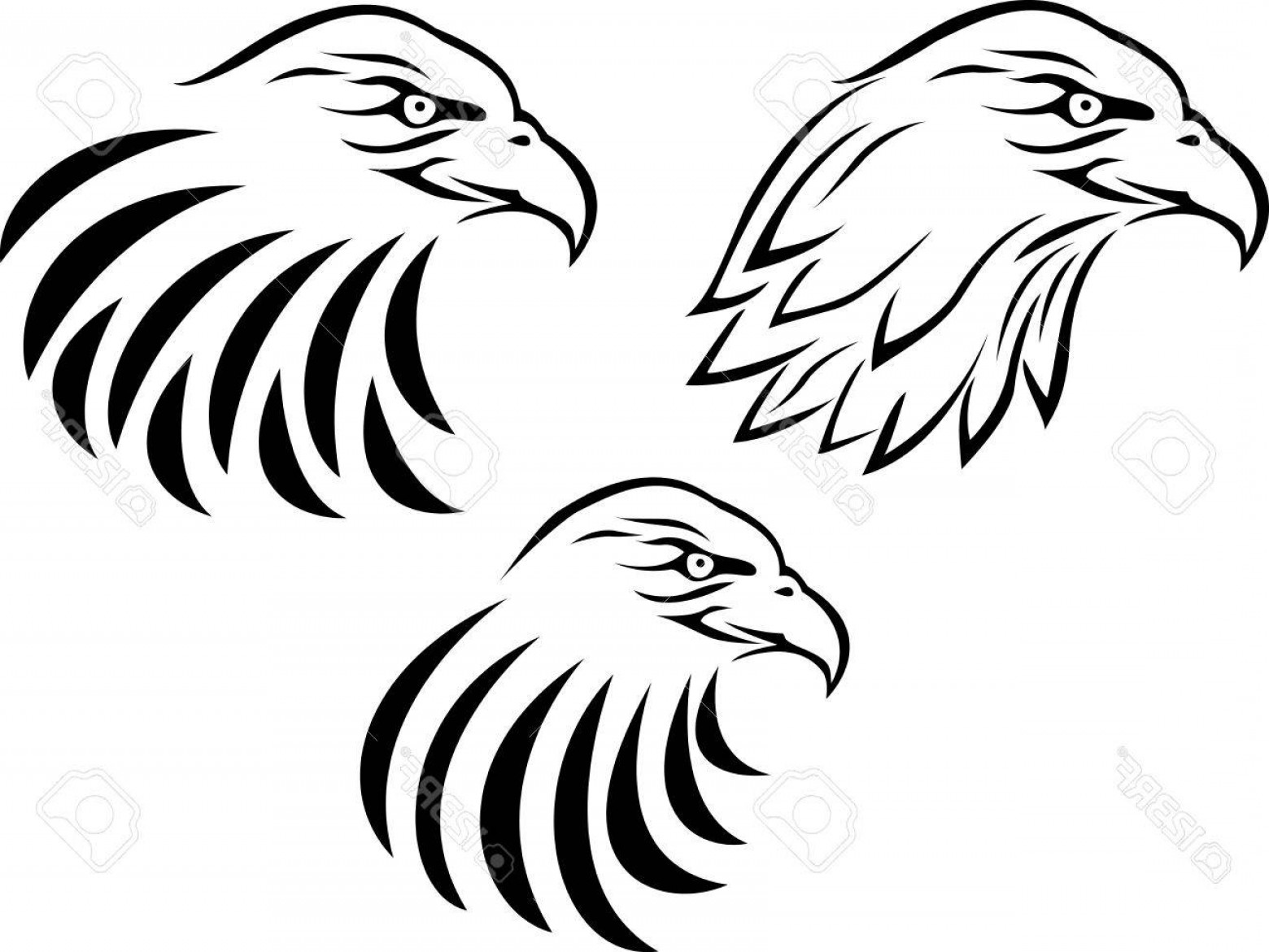 1560x1171 Eagle Head Clipart Black And White Vector Soidergi