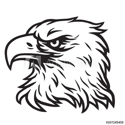 500x500 Eagle Head Mascot Drawing