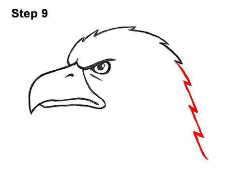500x386 How To Draw A Bald Eagle Head