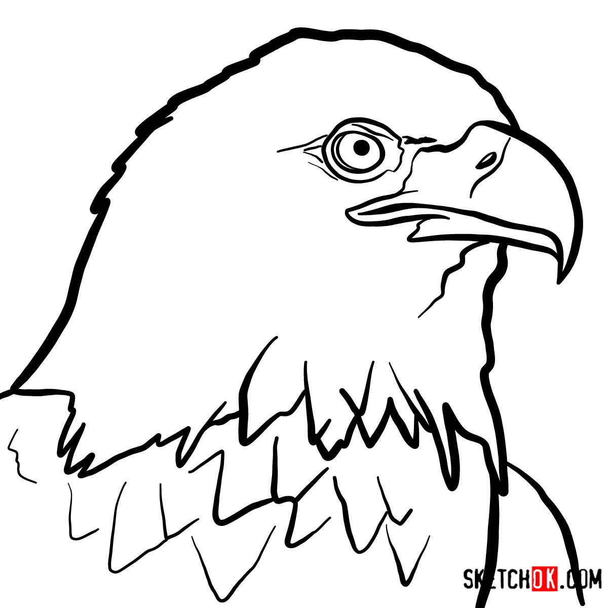 1200x1200 How To Draw Bald Eagle's Head Birds