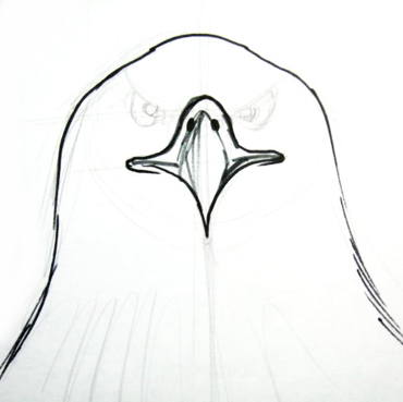 370x369 How To Draw A Bald Eagle Head