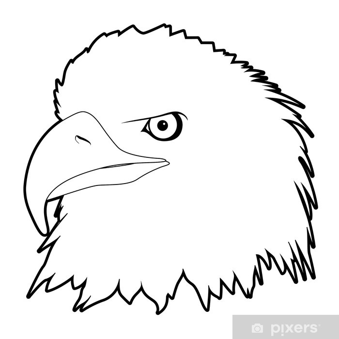 700x700 Drawn Eagle Head Sticker We Live To Change