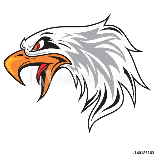 500x500 Hand Drawing Eagle Head Mascot
