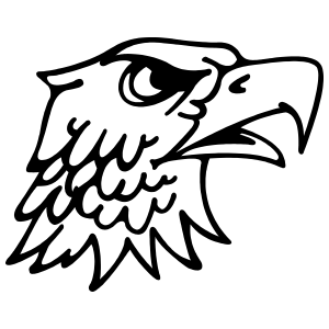 300x300 Detailed Eagle Head Sticker