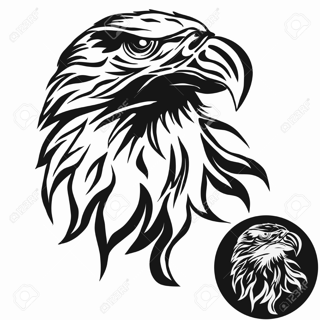 1300x1300 Eagle Head Logo Template Hawk Mascot Graphic Portrait