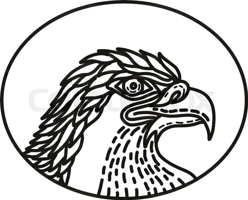 800x646 Mono Line Illustration Of Head Of A Stock Vector Colourbox