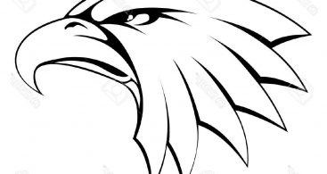 367x195 Bald Eagle Head Drawing Vector Archives