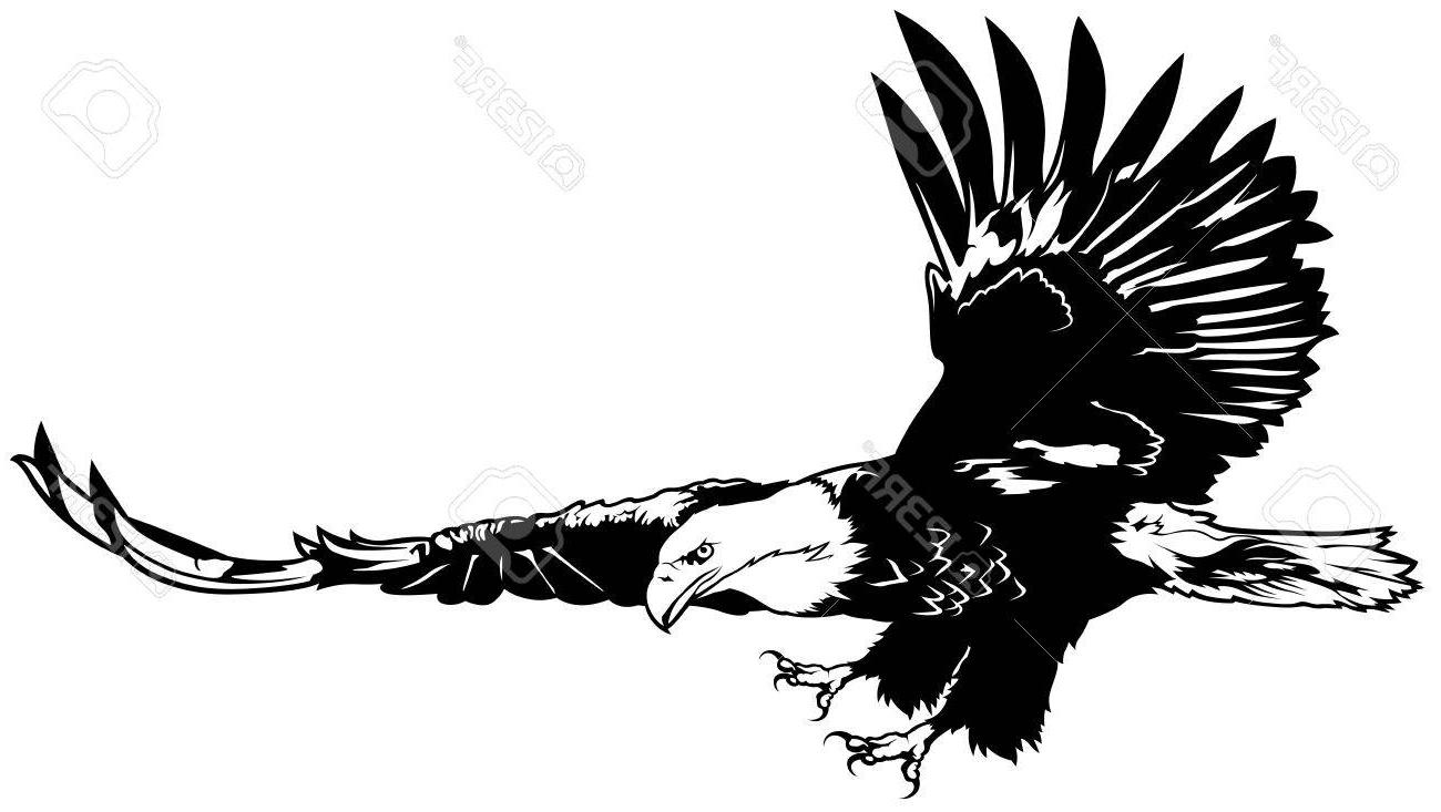 Eagle In Flight Drawing | Free download on ClipArtMag