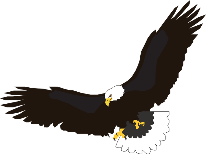 665x499 Eagle Clipart In Flight For Free Download And Use In Presentations